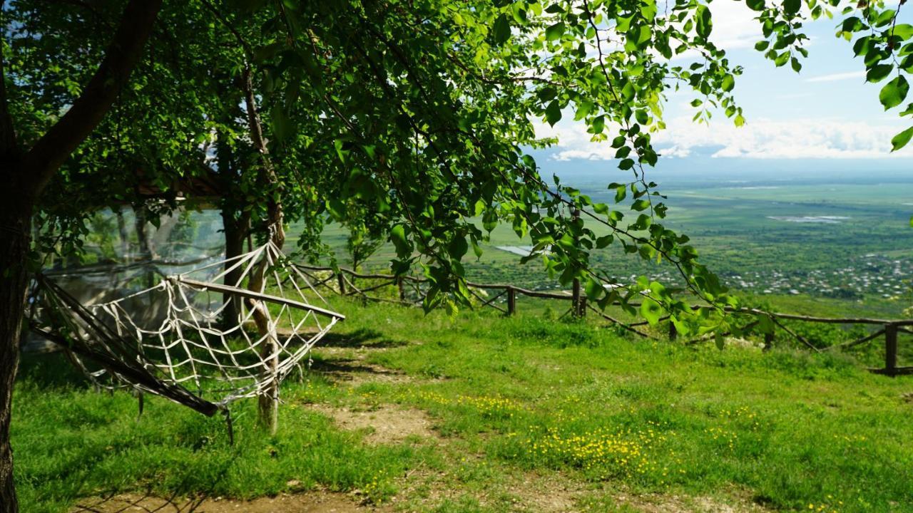 Tsanava'S Cottage In Sighnaghi Exterior foto